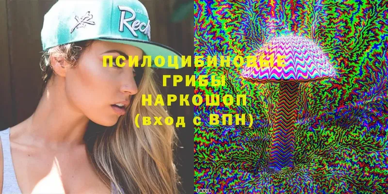 купить   Крымск  Псилоцибиновые грибы Psilocybine cubensis 